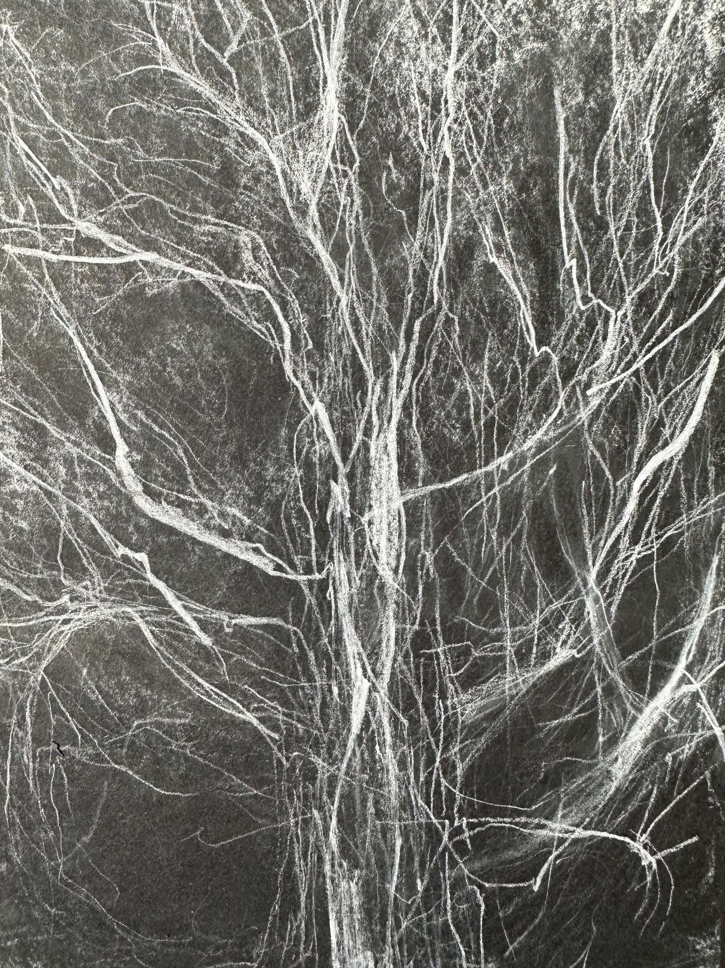 Fracture.5