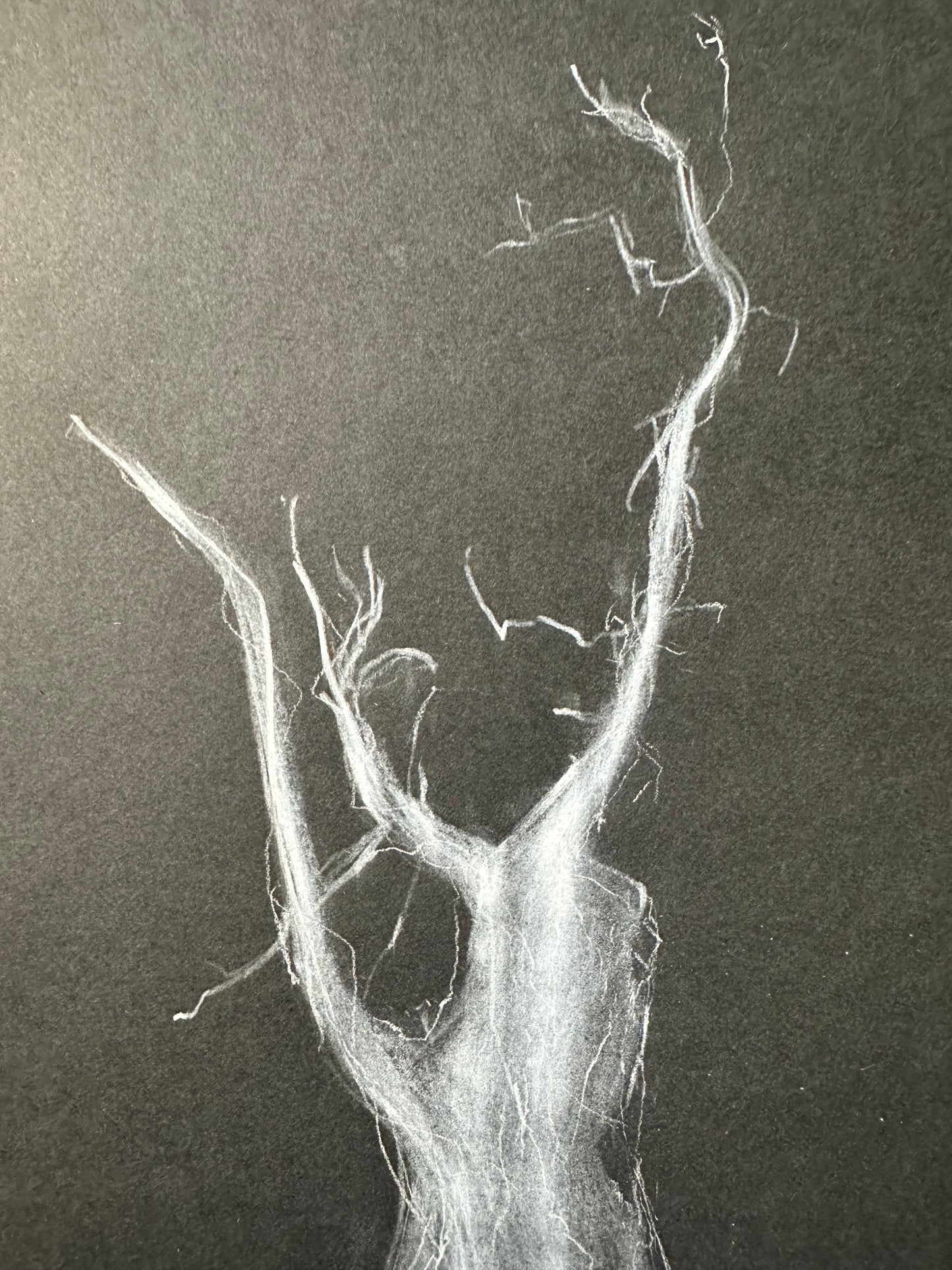 Sold - Fracture.6