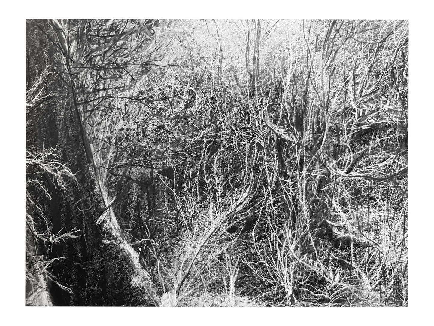 Fracture.1