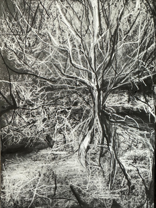 Sold - Fracture.3