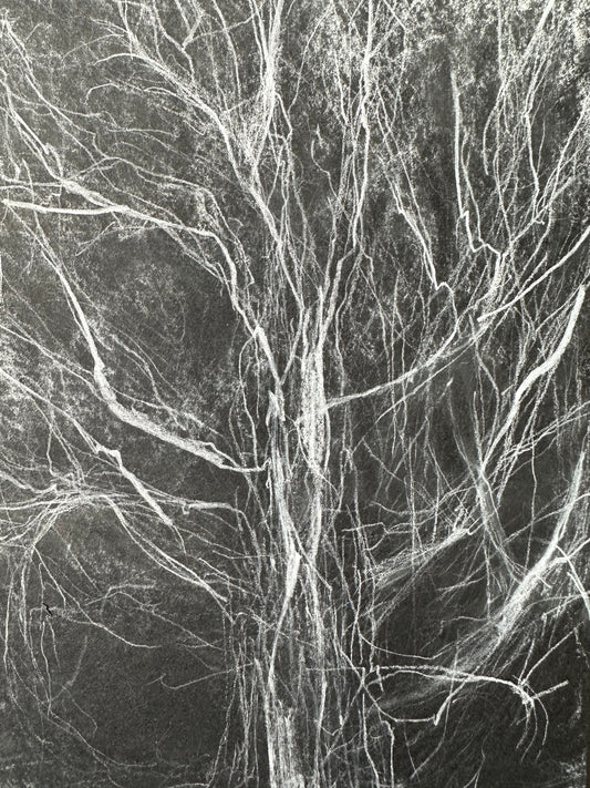 Fracture.5