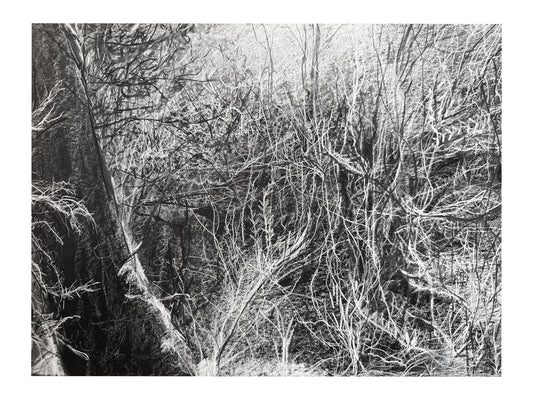 Fracture.1
